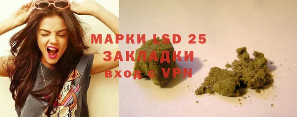 индика Баксан
