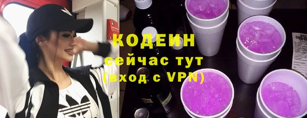 шишки Няндома