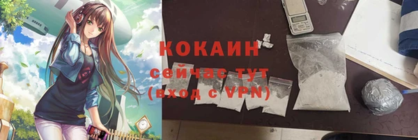 индика Баксан