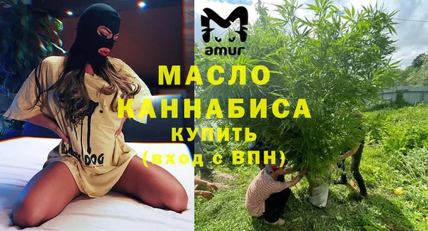индика Баксан