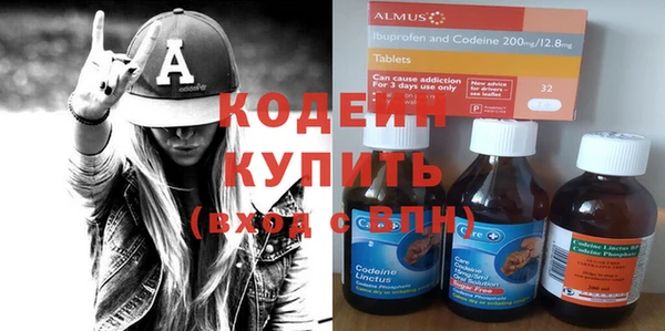 индика Баксан