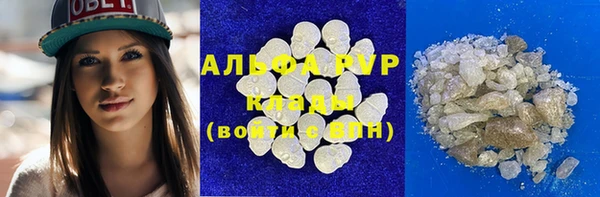 индика Баксан