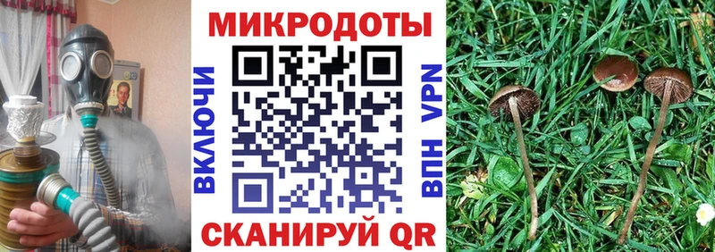 Псилоцибиновые грибы Magic Shrooms  цены   Гатчина 